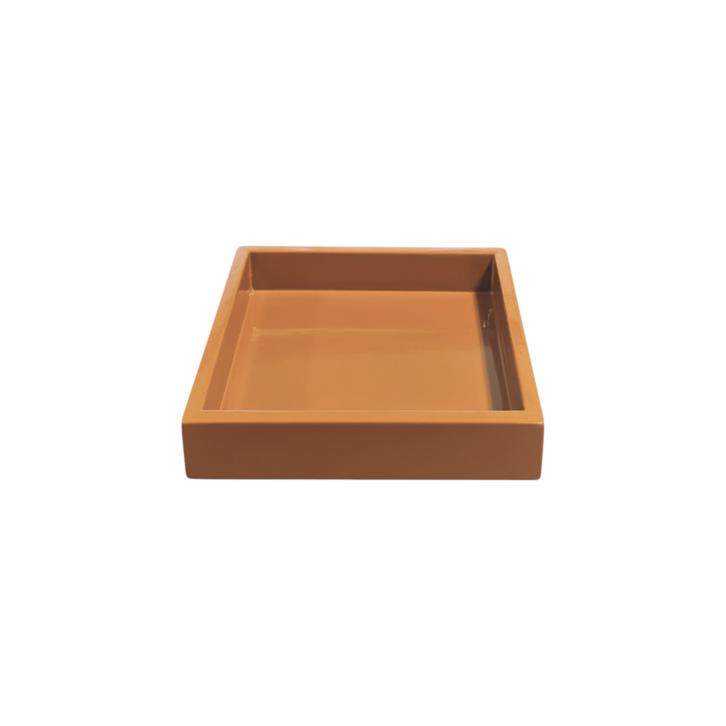 Mini Tray